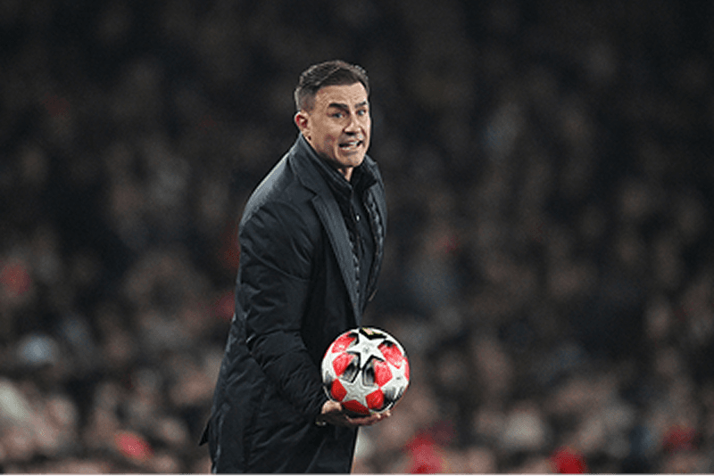 Fabio Cannavaro portrait